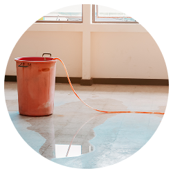 外壁や屋根の劣化が目立ってきて、雨漏りが心配